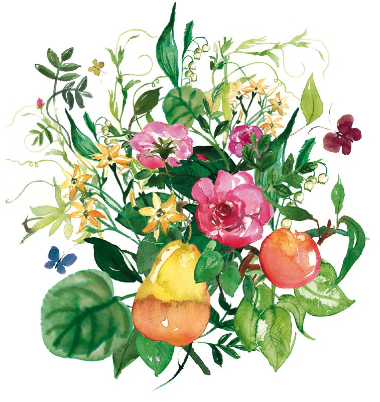 illustration lucile prache fleurs.jpg - Lucile PRACHE | Virginie